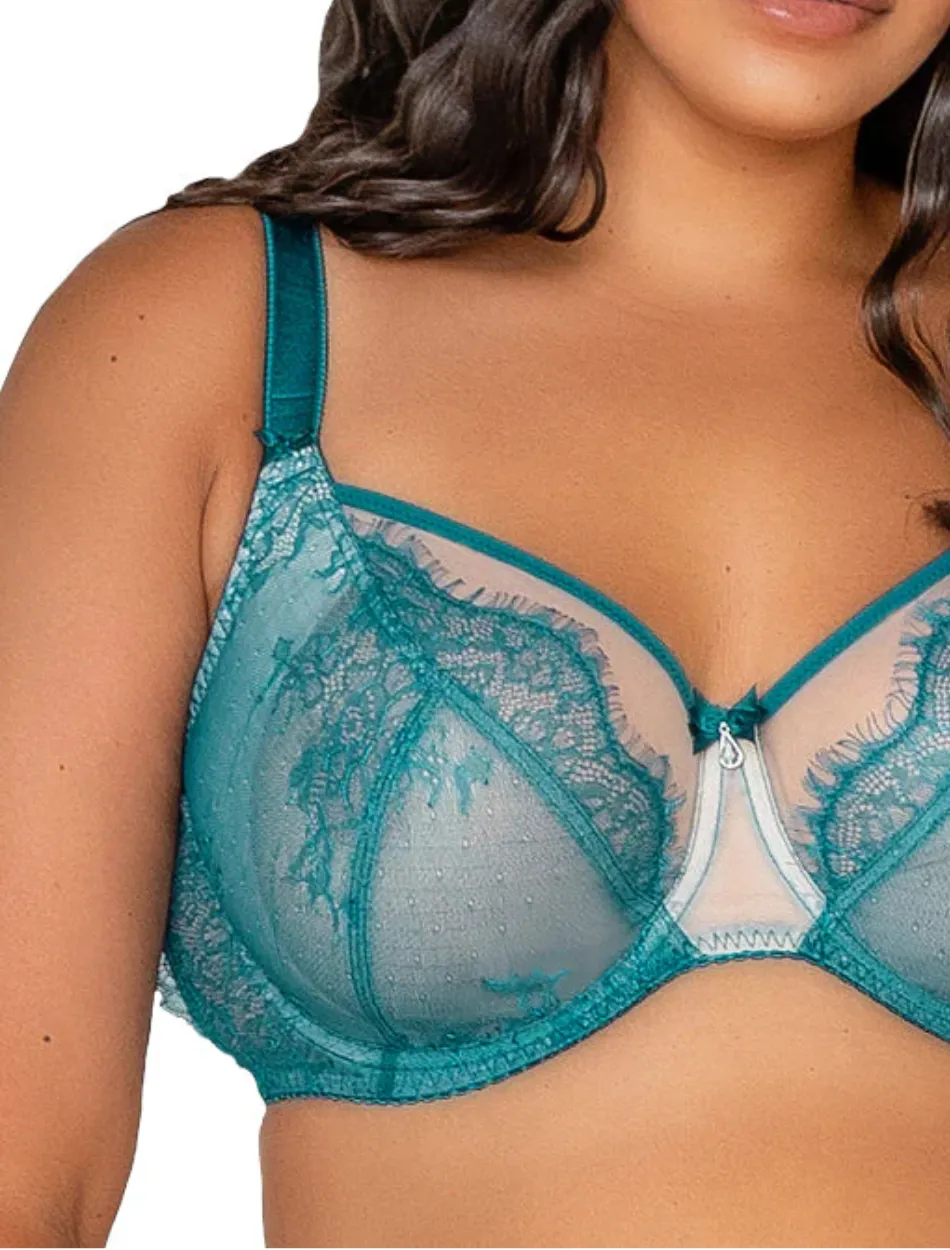 Fit Fully Yours Ava See Thru Lace Bra, Dark Teal | Teal Ava Bra by Fit Fully Yours